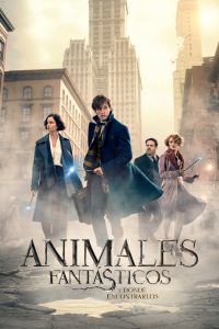 Fantastic Beasts and Where to Find Them (Animales fantásticos y dónde encontrarlos)