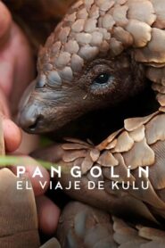 Pangolín: El viaje de Kulu (2025)