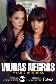 Viudas negras: P*tas y chorras