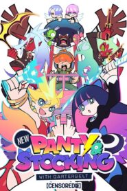 New PANTY & STOCKING with GARTERBELT