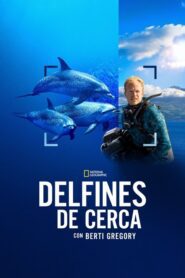 Delfines en primer plano con Bertie Gregory (2025)