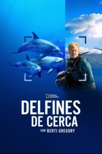 Delfines en primer plano con Bertie Gregory (2025)