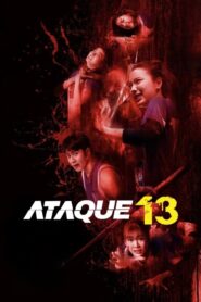 Attack 13 (2025)