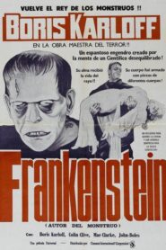 Frankenstein (1931)