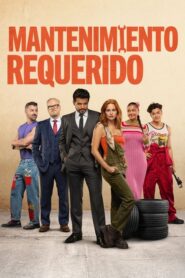 Mantenimiento requerido (2025)