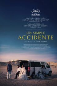 Fue solo un accidente (2025)