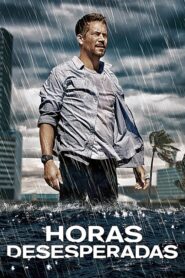 Horas desesperadas (2013)