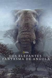 Los elefantes fantasma de Angola (2026)