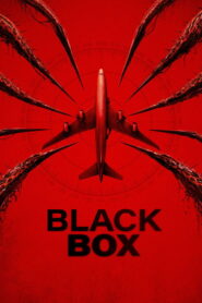 Black Box: Vuelo 298 (2026)